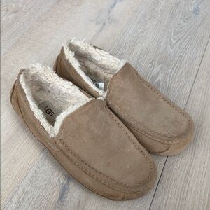 Men’s Ugg Ascots slippers